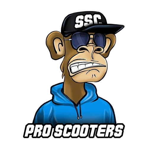 SSClessons
